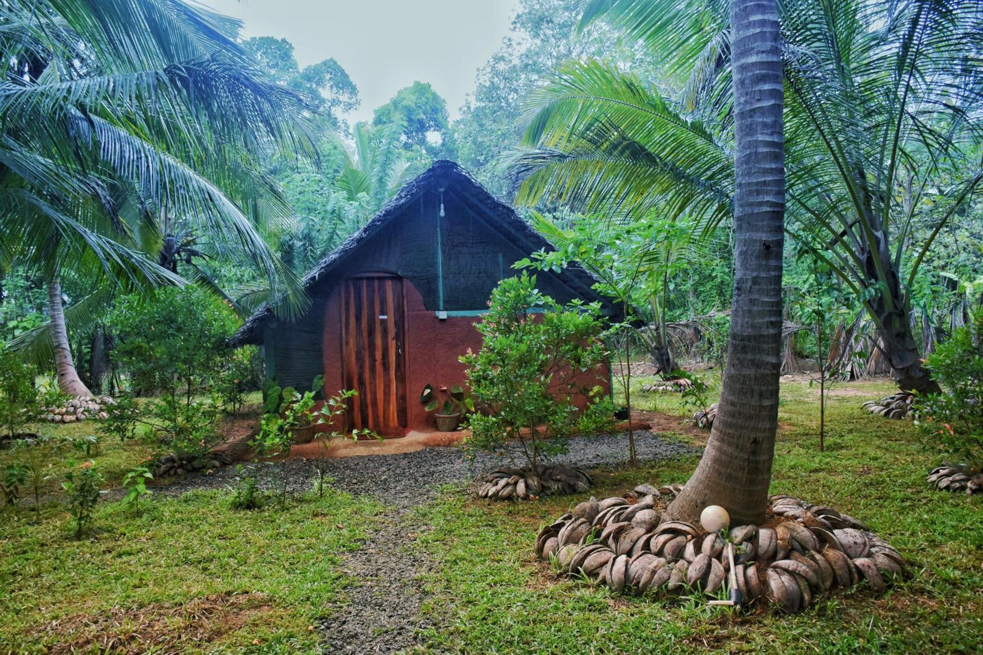Passion Ray Villa & Tree Hut Sigiriya Room photo
