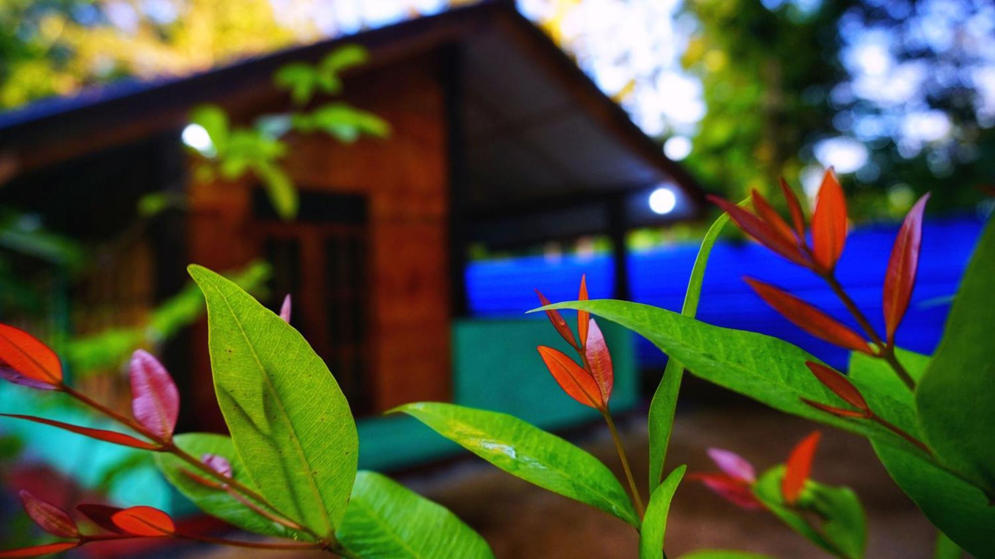 Passion Ray Villa & Tree Hut Sigiriya Exterior photo